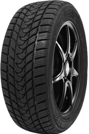 Delinte Winter WD1 195/55R15 85H Vinterdekk europeisk friksjon